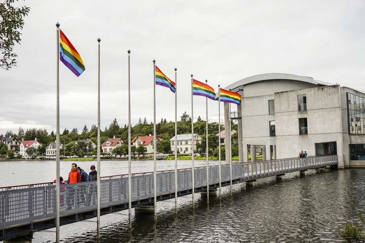 Vilja flagga friðarfána