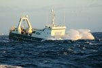 Bylting í vændum? Meirihluti á Alþingi fylgjandi uppboði á aflaheimildum