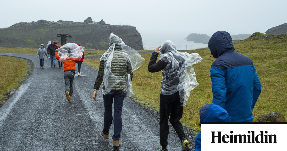 Átta íbúar með samanlagðan milljarð í tekjur í Vík í Mýrdal