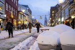 Jólahefðir aðila vinnumarkaðarins: Hryllingsmyndir, hreindýr og hrikalega flókin grænmetisbaka