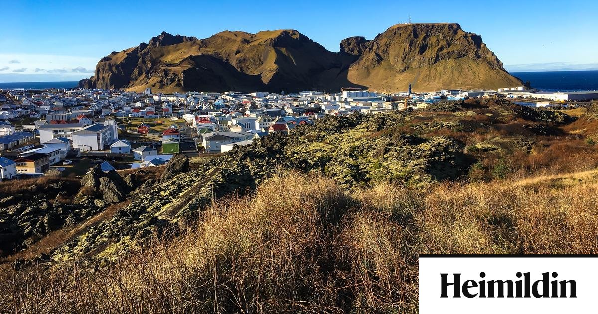 Heilbrigðisstarfsmenn handteknir vegna andláts