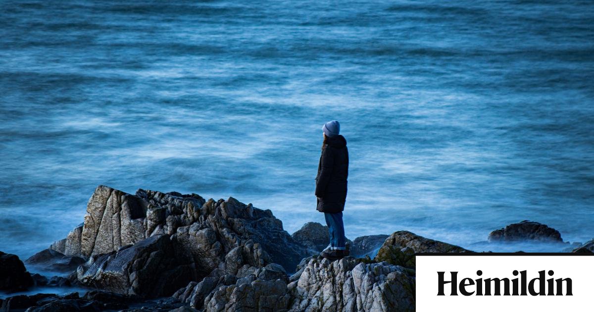 Um hvað snýst málið eiginlega?