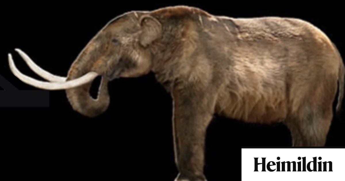 860. spurningaþraut: Hér er spurt um útdauð dýr - Heimildin