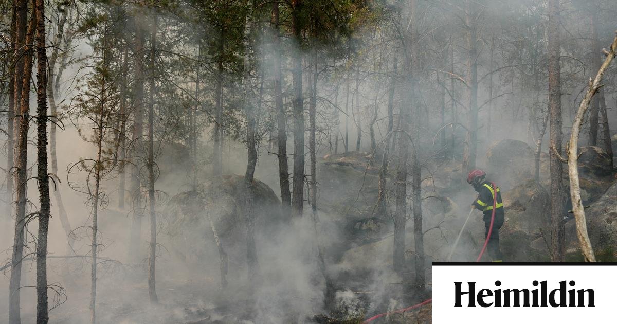 Sögulegur skógur fyrir utan París brennur í eldinum