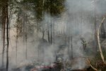 Sögulegur skógur fyrir utan París brennur í eldinum