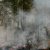 Sögulegur skógur fyrir utan París brennur í eldinum