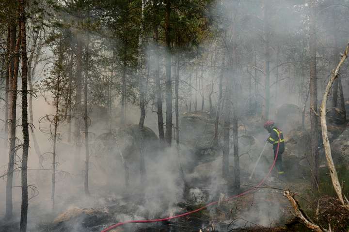 Sögulegur skógur fyrir utan París brennur í eldinum