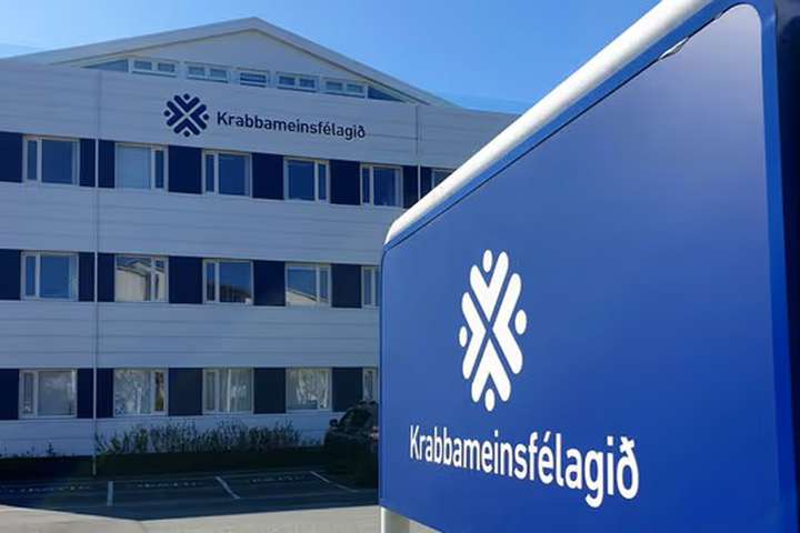 Sýnin aldrei skoðuð af óháðum sérfræðingum