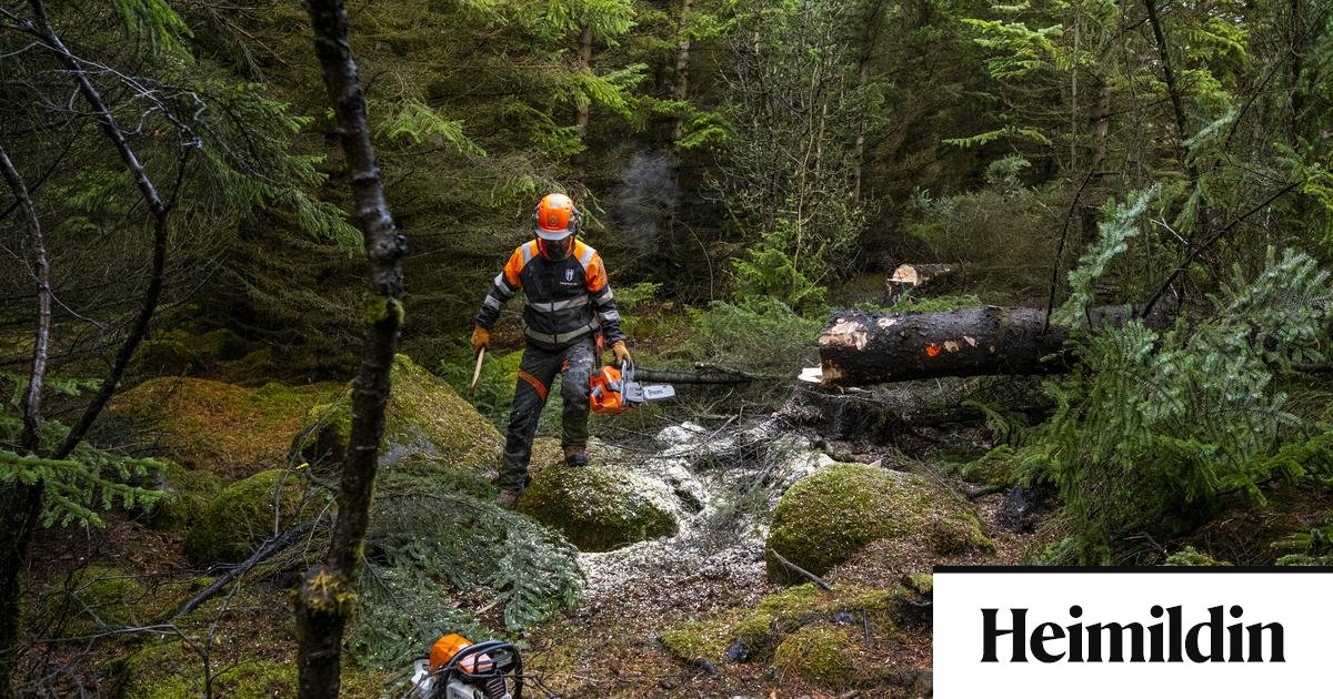 Úttekt dregur fram mikla togstreitu í flugvallarmá