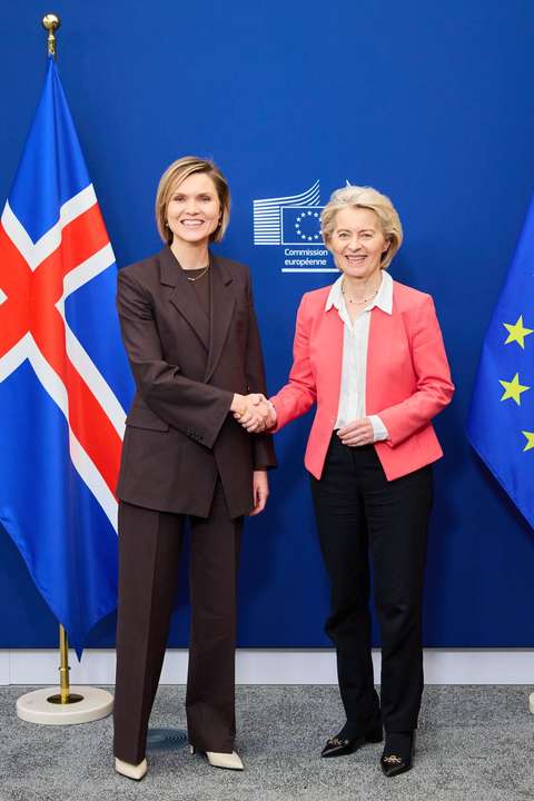 Hvað er rétt um kosti og galla aðildar og viðræðna við ESB?