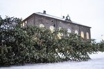 Grænn hagvöxtur er tálsýn