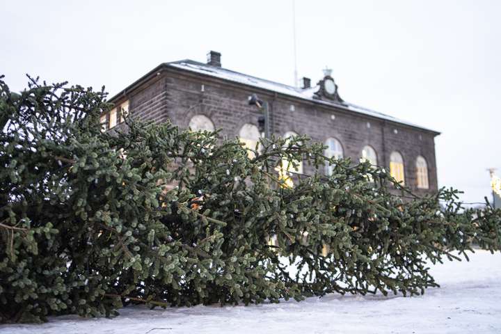 Grænn hagvöxtur er tálsýn