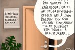 Leynifélag íslenskra samsæriskvenna