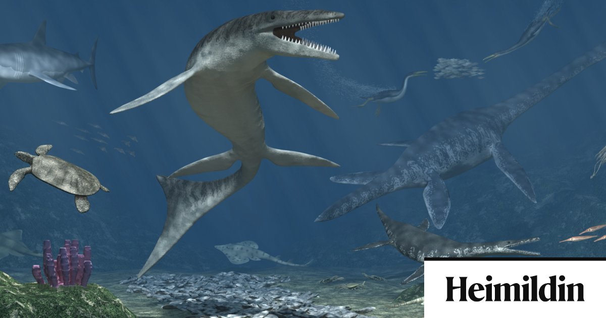 Af hverju er öll þessi olía í Venesúela?