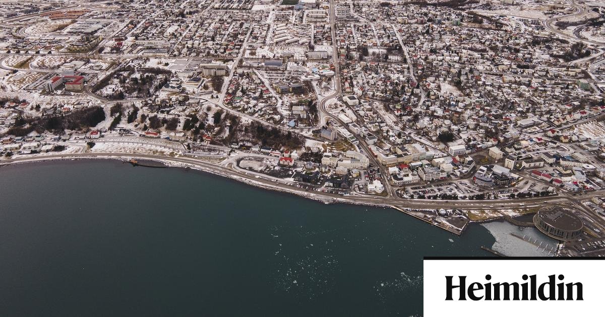 Nefndarmaður Miðflokksins samþykkti tilboð frænda og vinnuveitanda