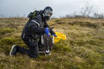 Faraldur í villtum gæsum
