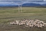 Leggja Zephyr skýrar línur varðandi áform um risavaxið vindorkuver
