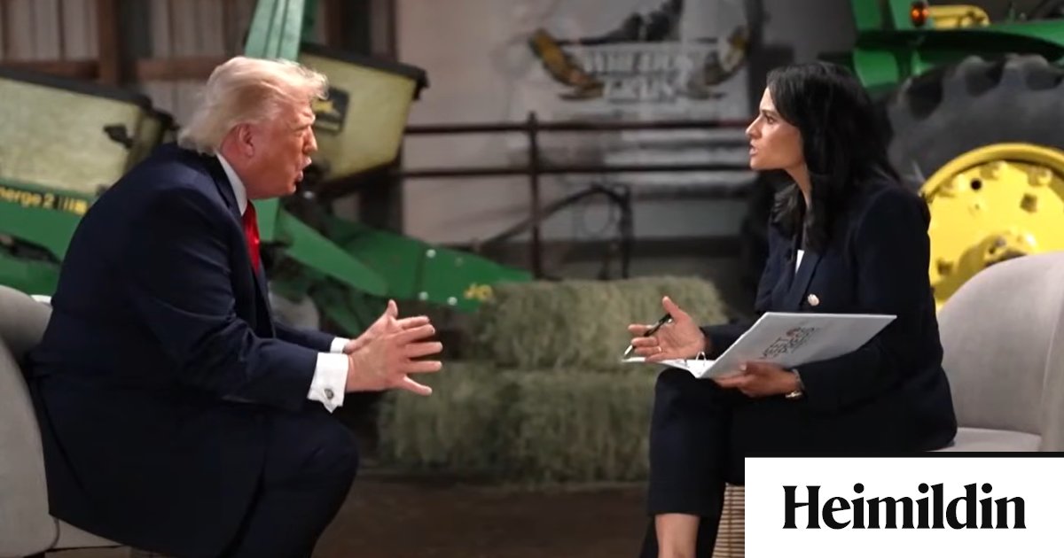 Trump rauk út úr viðtali: „Þú ert spillt eða heimsk“