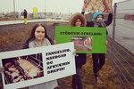 Mótmæltu slátrun á lömbum á Selfossi: „Mynduð þið drepa börnin ykkar?“