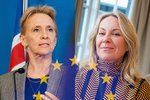 Nýja stjórnarskráin fordæmi um hvernig hunsa megi þjóðaratkvæðagreiðslu