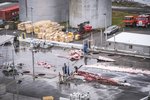 Eftirlitsmaður sendur um borð í hvalveiðiskipin